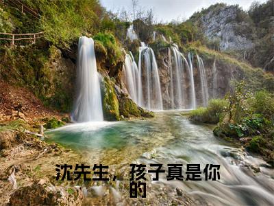 沈蔓沈知遇免费小说(沈先生,孩子真是你的)全文无弹窗阅读 沈蔓沈知遇大结局免费阅读无弹窗