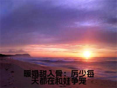 厉御江顾云暖小说暖婚甜入骨：厉少每天都在和娃争宠全文免费阅读无弹窗-正版小说厉御江顾云暖全文阅读