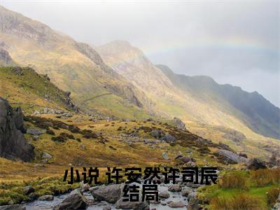  许安然许司辰（重生末世灾变前，我变卖了十亿股票）在线阅读的小说完整版-重生末世灾变前，我变卖了十亿股票（ 许安然许司辰）小说免费阅读