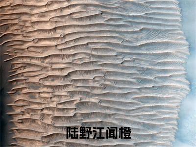 江闻橙陆野（陆野江闻橙）全文免费阅读_（陆野江闻橙）江闻橙陆野最新章节小说免费阅读_笔趣阁