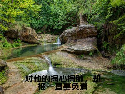 对他的掏心掏肺,却被一直辜负着全文免费阅读_(宋辛画谈礼免费阅读无弹窗)宋辛画谈礼最新章节列表笔趣阁