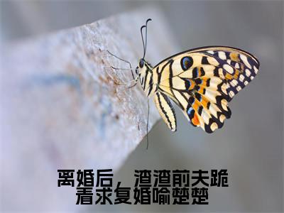 喻楚楚沈牧谦离婚后,渣渣前夫跪着求复婚喻楚楚全文阅读 喻楚楚沈牧谦免费阅读无弹窗