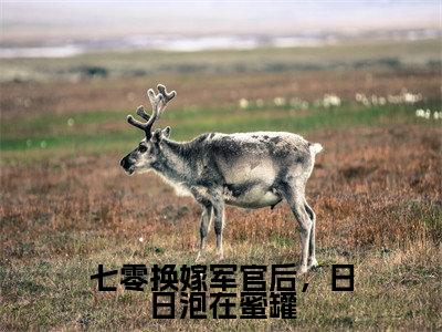 七零换嫁军官后,日日泡在蜜罐小说全文(桑悦宋境)免费阅读全文无弹窗大结局_桑悦宋境免费阅读无弹窗小说_笔趣阁