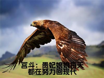 宫斗:贵妃娘娘每天都在努力回现代热门小说目录推荐 宋如澈全文完整版阅读