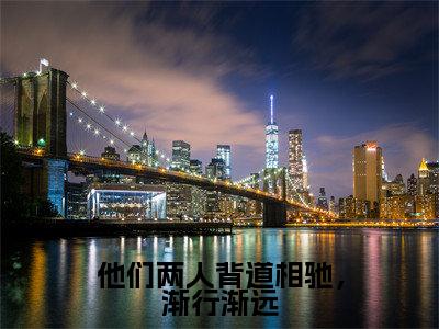 江知许顾盛晨小说在线阅读-他们两人背道相驰,渐行渐远小说最新章节阅读