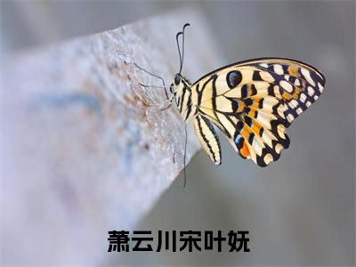 宋叶妩萧云川(萧云川宋叶妩)全文免费阅读无弹窗大结局萧云川宋叶妩(宋叶妩萧云川)
