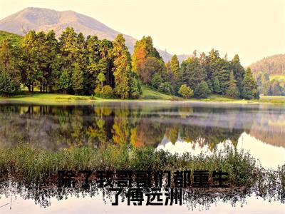 傅星河傅远洲(除了我哥哥们都重生了傅远洲)高质量小说免费阅读-主角是傅星河傅远洲的小说叫什么名字(除了我哥哥们都重生了傅远洲)