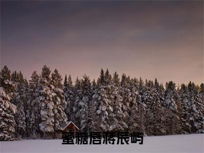 蜜糖唇蒋辰屿(虞兮蒋辰屿)最火小说全文-(虞兮蒋辰屿)蜜糖唇蒋辰屿小说完整版免费阅读