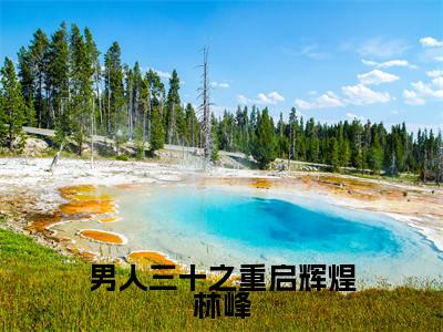 林峰（男人三十之重启辉煌林峰）全文免费阅读无弹窗大结局_男人三十之重启辉煌林峰全文在线阅读