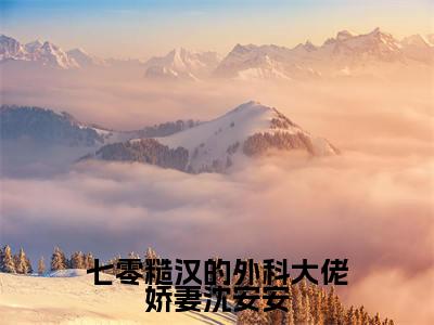 七零糙汉的外科大佬娇妻沈安安小说（沈安安）全文免费阅读无弹窗大结局_沈安安小说最新章节列表_笔趣阁（沈安安）