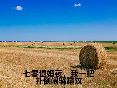 林清祁山小说全文(七零退婚夜,我一把扑倒闷骚糙汉)在线阅读-林清祁山全文免费阅读无弹窗大结局