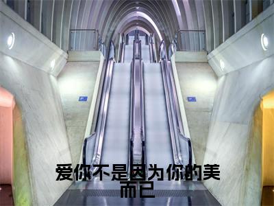 爱你不是因为你的美而已全文免费阅读大结局 江柚絮裴淮之最新章节列表