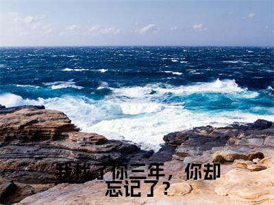 (我找了你三年,你却忘记了?)全文免费阅读无弹窗大结局-顾霆川阮言琦全文阅读无弹窗