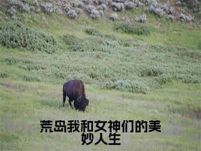 荒岛我和女神们的美妙人生抖音热推小说全集无删减林天最新章节列表免费阅读_(荒岛我和女神们的美妙人生)最新章节列表笔趣阁