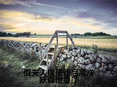 假夫人揣蛋跑后高冷妖尊他急了在线阅读(玄霖茯月)全文免费阅读无弹窗大结局_玄霖茯月最新章节列表笔趣阁(假夫人揣蛋跑后高冷妖尊他急了)