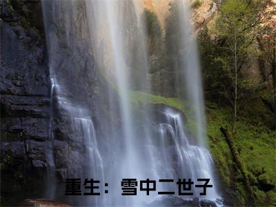 重生：雪中二世子高甜小说最新章节-徐野全文阅读