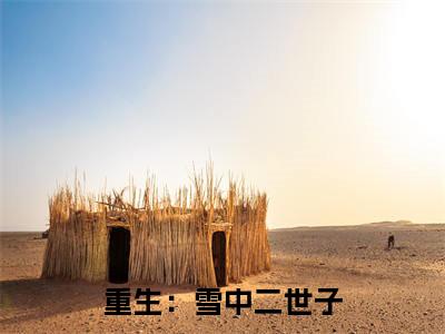 重生:雪中二世子(徐野)全文免费阅读无弹窗大结局_重生:雪中二世子最新章节列表