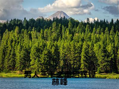 林峰热门小说在线阅读 男人三十之重启辉煌林峰全网推荐(林峰)全文