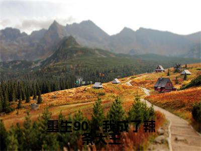 陈鑫小说免费阅读无弹窗,小说名字是:重生90,我成了辣条大王的小说在线阅读无删减