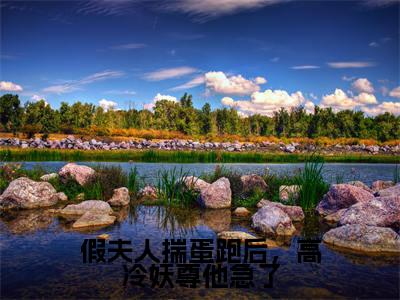 假夫人揣蛋跑后,高冷妖尊他急了小说(玄霖茯月)精彩免费小说_假夫人揣蛋跑后,高冷妖尊他急了全文免费阅读无弹窗大结局笔趣阁