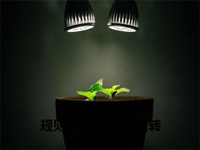 规则怪谈摆烂人扭转国运（时冉）全文免费阅读无弹窗大结局_时冉无弹窗最新章节列表_笔趣阁