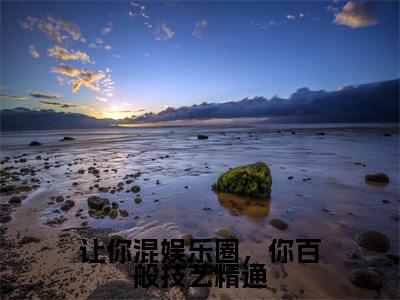 让你混娱乐圈,你百般技艺精通小说全文免费阅读无弹窗大结局-林夏热芭小说在哪里可以看