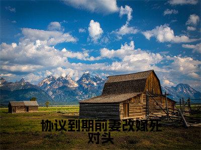 沈曼薄司言(协议到期前妻改嫁死对头)全文免费阅读无弹窗大结局协议到期前妻改嫁死对头(沈曼薄司言)