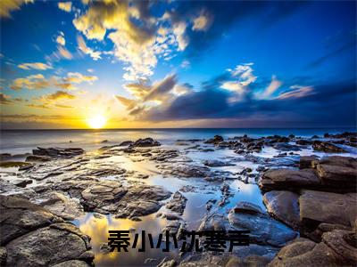 小说名字是：秦小小沈寒声小说免费阅读无弹窗,小说名字是：秦小小沈寒声的小说在线阅读无删减