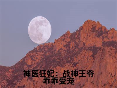 神医狂妃:战神王爷乖乖受宠小说顾初暖无弹窗免费阅读-最新小说神医狂妃:战神王爷乖乖受宠(顾初暖)全文阅读
