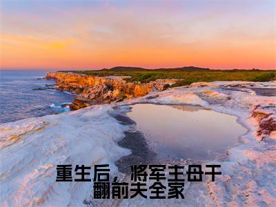 苏荇禾(重生后,将军主母干翻前夫全家)小说免费阅读_苏荇禾精选小说全文阅读(重生后,将军主母干翻前夫全家)