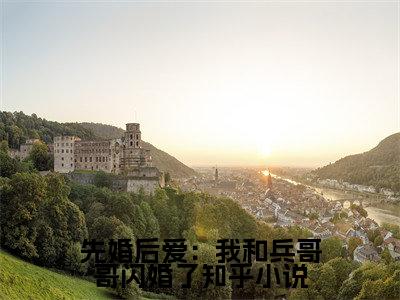  林知夏李辞小说全文（先婚后爱：我和兵哥哥闪婚了）在线阅读- 林知夏李辞全文免费阅读无弹窗大结局