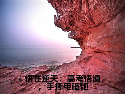 悟性逆天：高考悟道，手撕电磁炮（苏勤）热推现言小说-悟性逆天：高考悟道，手撕电磁炮小说在哪里可以看全文