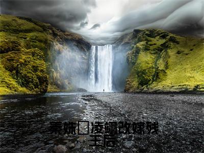 改嫁残王后，渣男总缠着公主殿下（ 秦姝孄凌翊）全文免费阅读无弹窗大结局_改嫁残王后，渣男总缠着公主殿下（ 秦姝孄凌翊）最新章节列表