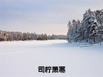 司柠萧寒小说免费下载阅读_(司柠萧寒)司柠萧寒最新章节列表_笔趣阁(司柠萧寒)