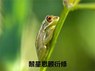黎星恩顾衍修黎星恩顾衍修免费阅读无弹窗 小说黎星恩顾衍修最新章节