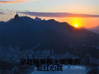 陆砚南林宜全文(孕吐被禁欲上司宠的脸红心跳)完整版小说阅读_孕吐被禁欲上司宠的脸红心跳全本列表免费笔趣阁(陆砚南林宜)