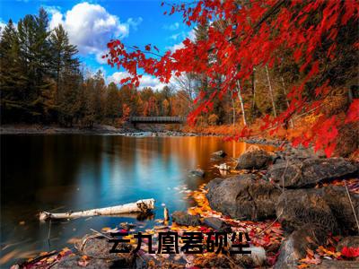 云九凰君砚尘(君砚尘云九凰)全文免费阅读_(君砚尘云九凰)小说云九凰君砚尘最新章节阅读