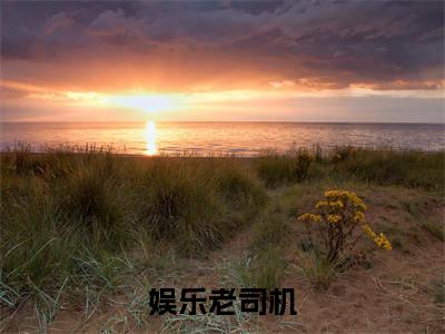 娱乐老司机小说全文免费阅读 （沈辉）免费阅读全文免费阅读无弹窗大结局