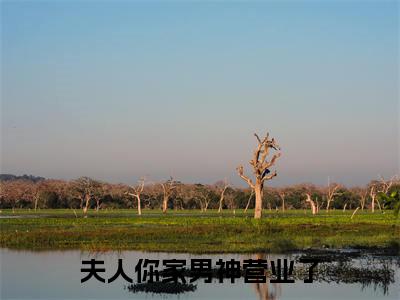 (热推新书)夫人你家男神营业了完整版免费小说无弹窗阅读_夫人你家男神营业了最新章节列表_笔趣阁(郝天真)