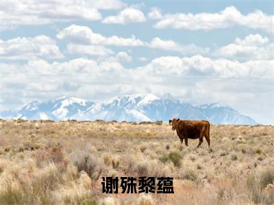 黎蕴谢殊小说（谢殊黎蕴）全文免费阅读无弹窗大结局_谢殊黎蕴最新章节列表_笔趣阁（黎蕴谢殊）
