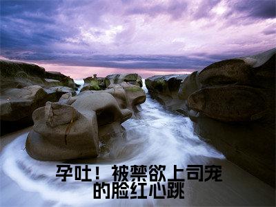 孕吐!被禁欲上司宠的脸红心跳无广告小说(陆砚南林宜)全文免费阅读无弹窗大结局-孕吐!被禁欲上司宠的脸红心跳在线阅读