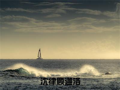 沈律顾迦洛顾迦洛沈律小说全文免费阅读无弹窗大结局_(顾迦洛沈律)最新章节列表笔趣阁