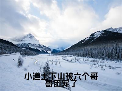 小道士下山被六个哥哥团宠了精彩章节免费阅读_（柒柒）小道士下山被六个哥哥团宠了抖音热推小说最新章节阅读