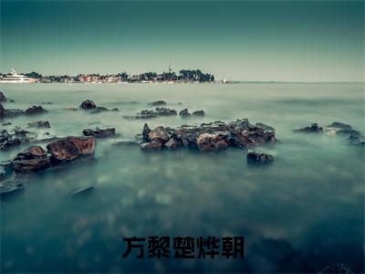 方黎楚烨朝(方黎楚烨朝)免费阅读最新章节无弹窗 方黎楚烨朝完整版小说在线阅读