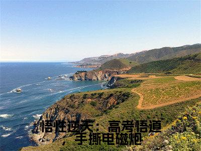 苏勤小说全文免费阅读大结局-悟性逆天:高考悟道,手撕电磁炮最新章节列表免费阅读