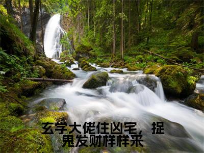 玄学大佬住凶宅,捉鬼发财样样来(林姲)小说-玄学大佬住凶宅,捉鬼发财样样来小说免费最新章节列表