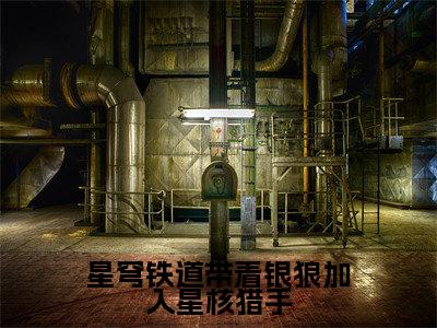 星穹铁道带着银狼加入星核猎手小说最新章节-洛双隅全文免费阅读无弹窗大结局