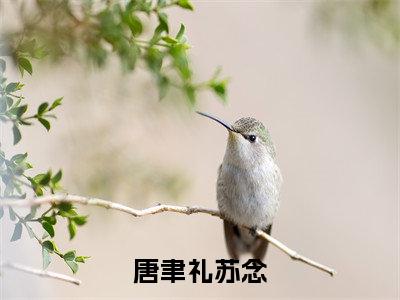 唐聿礼苏念(唐聿礼苏念)全文免费阅读无弹窗大结局_(唐聿礼苏念)的小说(唐聿礼苏念)最新章节列表