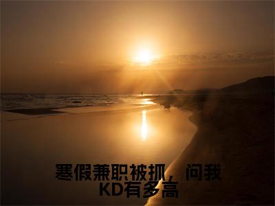 苏白最新章节(寒假兼职被抓,问我KD有多高小说)全文免费阅读无弹窗大结局_寒假兼职被抓,问我KD有多高小说免费阅读(苏白)