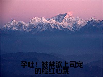 孕吐！被禁欲上司宠的脸红心跳小说（林宜陆砚南）全章节完整版免费小说_孕吐！被禁欲上司宠的脸红心跳最新章节在线阅读_笔趣阁